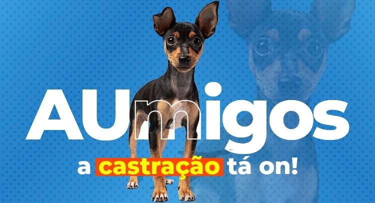 Capa da notícia